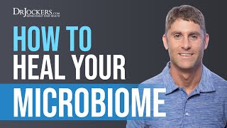 Gut Dysbiosis:  What Is It and How to Heal Your Microbiome?