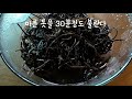 톳밥 짓기. 탈모와 골다공증. 노화 예방. 성인병에도 최고