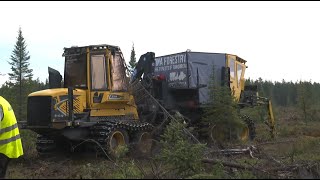 PlantMax : Premier test en sol québécois à Amos