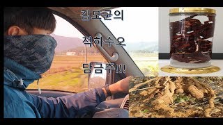 [NIKOMSEE] 김군의 하수오 담금주 만들기