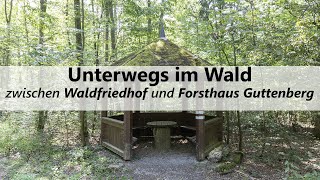 Zwischen Waldfriedhof und Forsthaus Guttenberg | Unterwegs in Würzburg