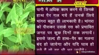 Ayurvedic Benefits of Bhringraj for Wound | Acharya Balkrishna