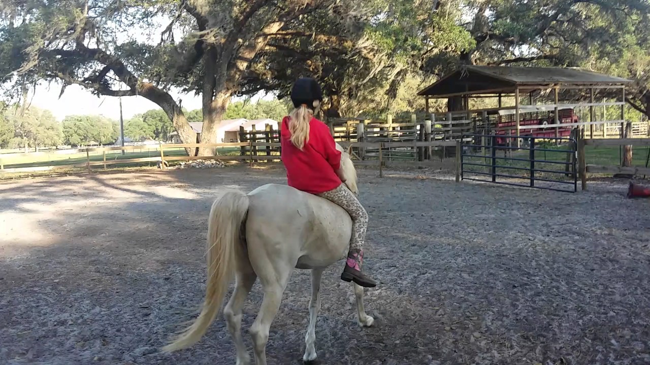 Bareback Youtube