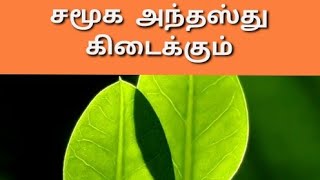 சமூக அந்தஸ்து கிடைக்கும்