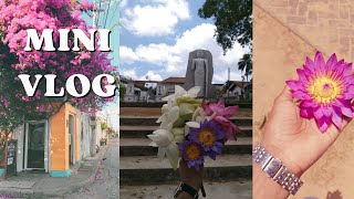 A Mini Vlog Journey | Devinuwara Temple | දෙවිනුවර විහාරය 🙏