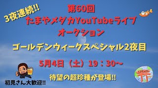 第60回たまやメダカYouTubeライブオーク