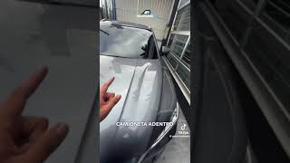 Las byd están rompiendo y acá en polarizados ya las tratamos como lo que son un carro re nea y top🫡