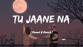 Tu Jaane Na [Slowed+Reverb] - Atif Aslam | Lyrics I LateNight Vibes