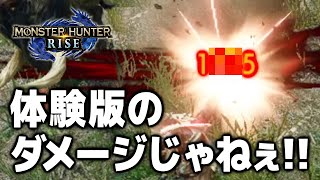 【MHRise】バフを駆使して体験版で4桁ダメージを出したい（出した）【モンハンライズ】