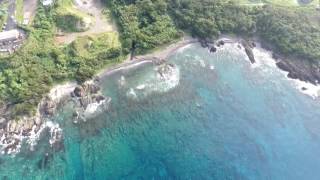 屋久島の綺麗な海でシュノーケリング 夜行貝を獲る