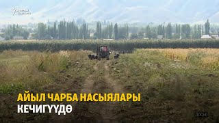 Айыл чарба насыялары кечигүүдө