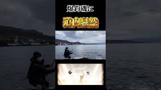 【北海道】【釣り】爆釣磯に騒然となる！！2025年1月25日