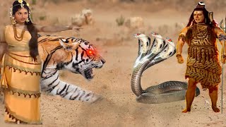 जब माँ पारवती के शेर और शिव के नाग में हुआ महा युद्ध @laxaminarayan-japtapvratt7537 ONS189