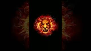 Lion 3d Fire Effect Moving Animation🦁🦁🦁