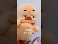 楽しみにしてたアヒルが届いた！ 購入品紹介 開封動画 upsetduck