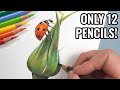 Drawing With Only 12 Colored Pencils | Realistic Ladybird Tutorial