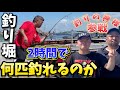 【釣り堀】〇〇を賭けて大毅チームと釣り対決！