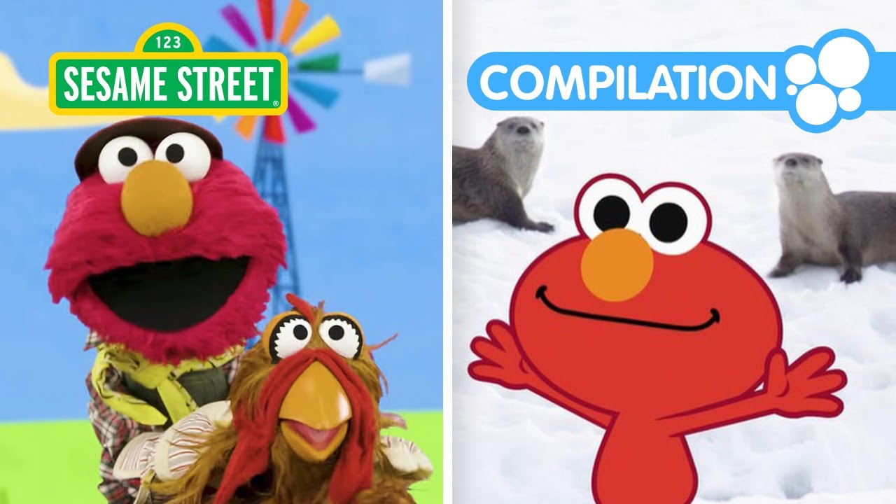 Elmo & Friends Learn About Animals! 2 HOUR Sesame Street Animal ...