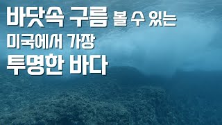 미국에서 가장 투명한 바다에서 스쿠버다이빙