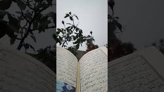 Urdu Quran Translation||Tumay Kya ho gya hai|| #qurantranslation #urduquran #share #shorts