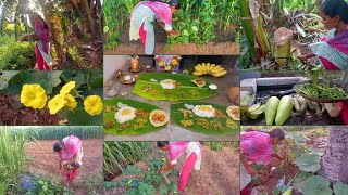 தோட்டத்து காய்கறியில் ஒரு சைவ விருந்து😋|farm fresh vegitables harvesting|#village|#farming|#food