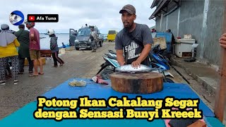 Potong Ikan Cakalang segar dengan Sensasi Bunyi Kreeek