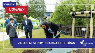 Vedení kraje zasadilo na akci Kraj dokořán strom