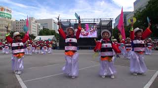 にっぽんど真ん中祭り２０１７　本祭１日目。【 昭和保育園「たちばな」】／ぐるめ会場