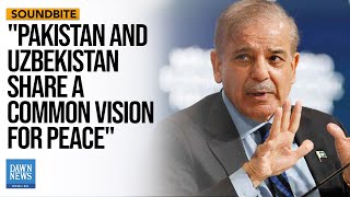 PM Shehbaz Looks Forward To ‘Mutually Beneficial Cooperation’ With Uzbekistan | Dawn News English