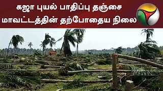 கஜா புயல் பாதிப்பு தஞ்சை மாவட்டத்தின் தற்போதைய நிலை #Thanjavur #GajaCyclone