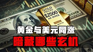 雷倩说：黄金与美元同涨玄机！人民币跨境双循环格局正逐渐浮现