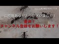 ありんこ記録 29 空飛ぶ飛行生物を狩る〜クロオオアリvsユスリカ〜ant vs chironomids〜