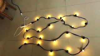 wendadeco Smart RGB 5M OR 10M coloured festoon lights outdoor