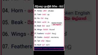 සතුන්ගේ කොටස් ඉංග්‍රීසියෙන් කියන්නේ කොහොමද | Animal body parts | Spoken English - රජිත මල්ශාන්