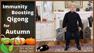 How to Boost Your Immunity in Autumn with this Qigong Practice + Health Tips