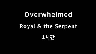 Overwhelmed Royal & the Serpent 1시간 1hour