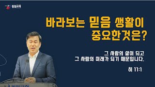 [당진동일교회] 주일예배 ㅣ 믿음은? ㅣ 이수훈 목사 ㅣ2023.11.12