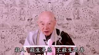 (404)淨土大經科註(第四回)淨空法師 台語配音(有字幕)2014年