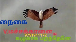 நா ஏங்கி வருவேணுண்னு நாதாங்கி போடாம மெலோடி தெம்மாங்கு