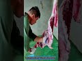 Butcher Entire Pig Cutting Skills #shorts #reels #full #pig #cuttingskills