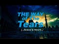 The Way of The Tears - Exclusive Nasheed - Muhammad al Muqit