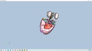 VTK Python Example - FrogReconstruction, Fig12-9c