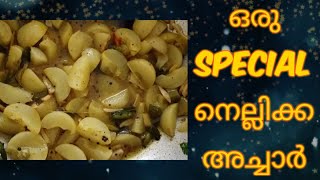 Special നെല്ലിക്ക അച്ചാർ വെറും 5 മിനിറ്റിൽ | Special Amla Pickle in  min. || Shruthy Stephan