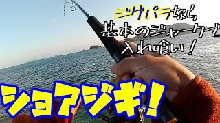 【ショアジギング】ジグパラの基本アクションで青物連発！＠釣りに行こうか　切り抜き