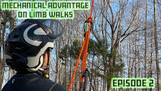 M.A. Limb walk Ep.2