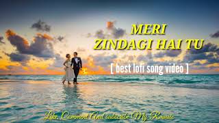 MERI ZINDAGI HAI TU || BOLLYWOOD HINDI SONG || HINDI LOFI SONGS 2023