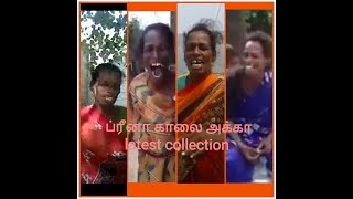 Fareena akka's latest collection | பரீனா அக்கா நியூ collection