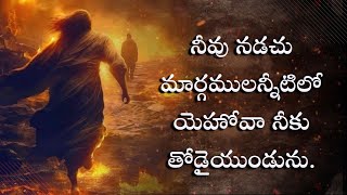 నీవు నడచు మార్గములన్నిటిలో యెహోవా నీకు తోడైయుండును.|#teluguchristianmessages