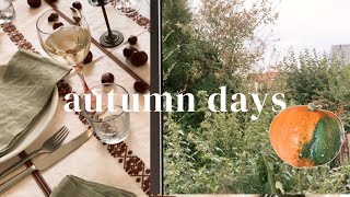 Autumn days in Germany | Erntedank fest, pumpkin pie \u0026 new semester