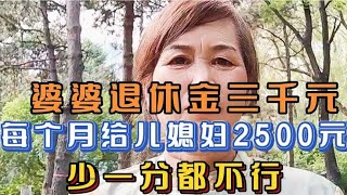 婆婆退休金3000元，每月上交给儿媳妇2500元，啃老都理直气壮